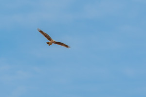 sans titre sans titre