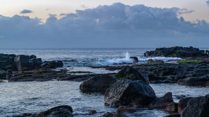 dsc1457 nef dxo deepprime dsc1457 nef dxo deepprime