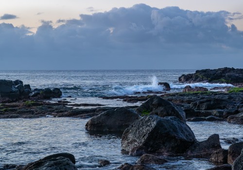  dsc1457 nef dxo deepprime