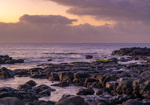  dsc1484 nef dxo deepprime