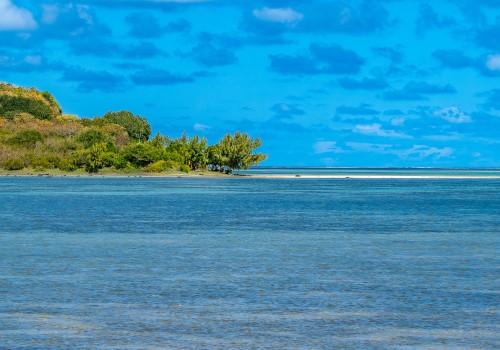  dsc2438 nef dxo deepprime