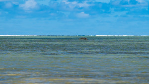 dsc2471 nef dxo deepprime dsc2471 nef dxo deepprime