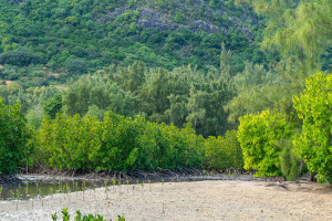 dsc2496 nef dxo deepprime dsc2496 nef dxo deepprime