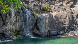 dsc3220 nef dxo deepprime dsc3220 nef dxo deepprime