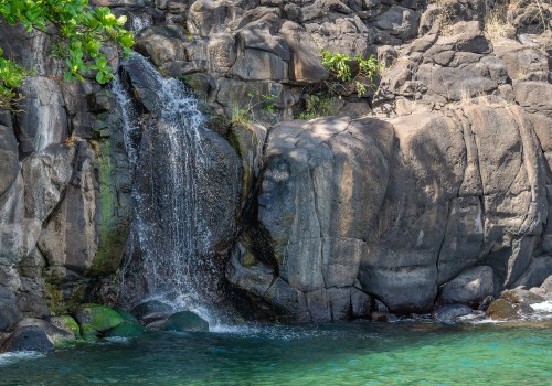  dsc3220 nef dxo deepprime