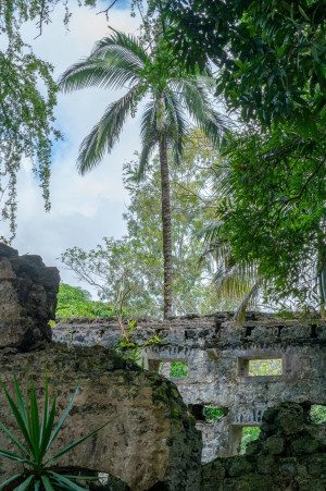 parc national de bras d eau parc national de bras d eau