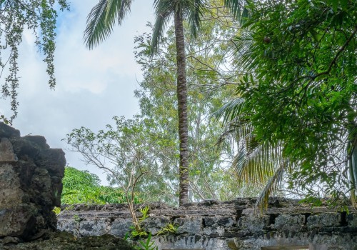 parc national de bras d eau
