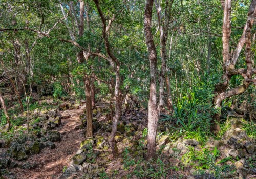 parc national de bras d eau