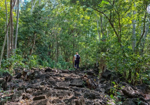 parc national de bras d eau