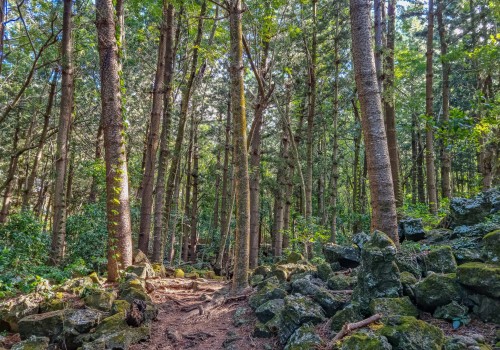 parc national de bras d eau