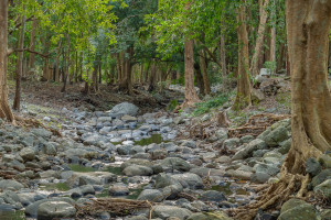 parc national de riviere noire parc national de riviere noire