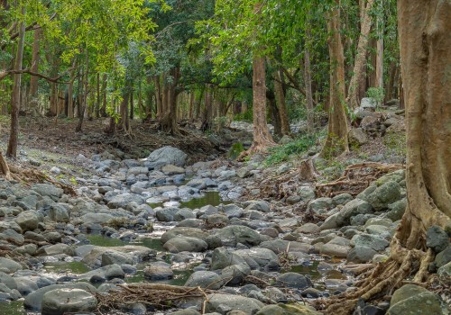 parc national de riviere noire