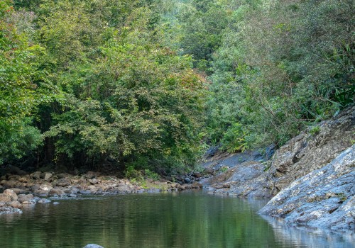 parc national de riviere noire