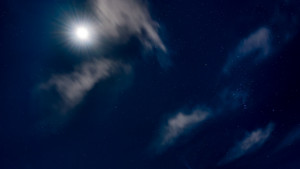 dsc0788 nef dxo dsc0788 nef dxo