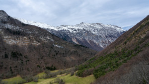 dsc5070 nef dxo deepprimexd2 dsc5070 nef dxo deepprimexd2