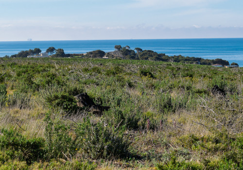 dsc9314 dxo deepprime xd2s dsc9314 dxo deepprime xd2s